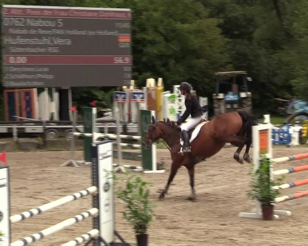 Video of nabou