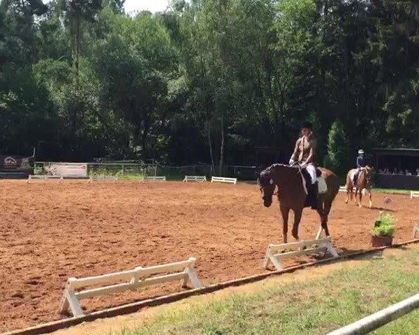 Video von Valentiano LB