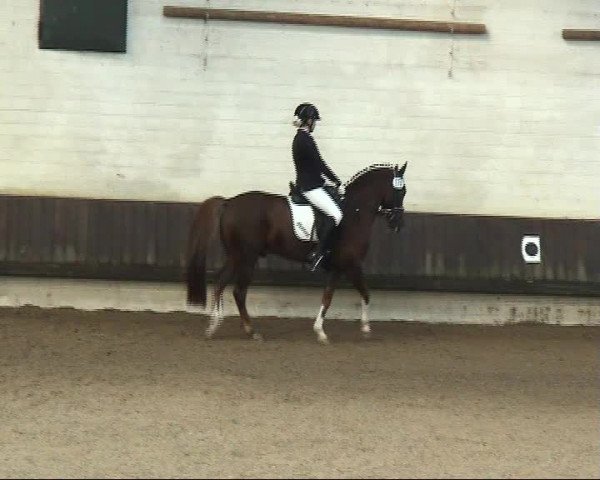 Reitturnier Voerde 2016
