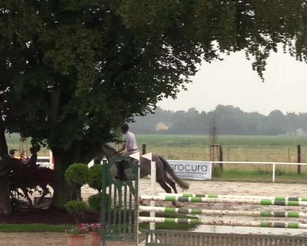 Reitturnier Dortmund-Asseln 2018