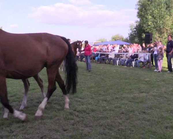 Video of Carl Heinz S