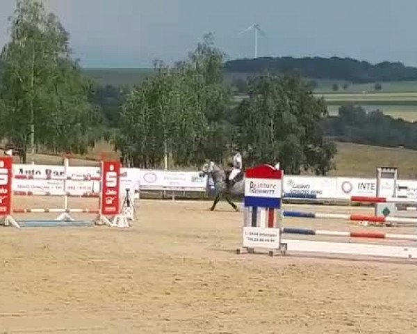Reitturnier Reitanlage Birkenhof, Perl-Sinz 2018
