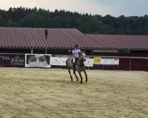 Reitturnier Reitanlage Birkenhof, Perl-Sinz 2018