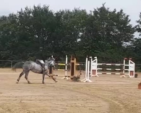 Reitturnier Bitburg-Mötsch 2018