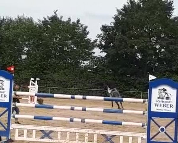 Reitturnier Bitburg-Mötsch 2018