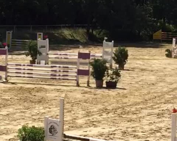 Video of Big Buddy 5