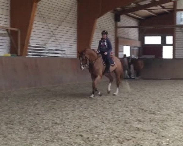Video of Abraxas W