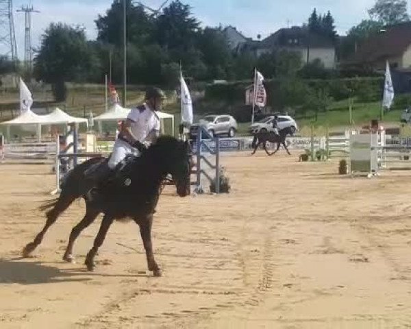 Reitturnier Aach-Hohensonne 2018