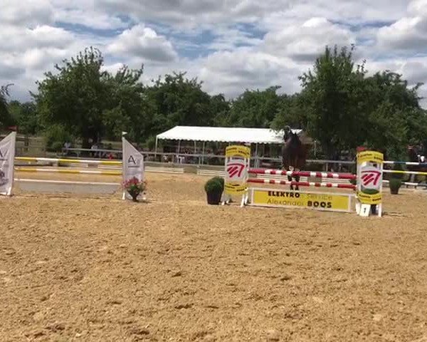 Video of Nick-Nack