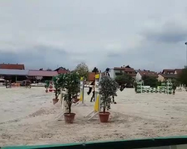 Video of Uno Picolino