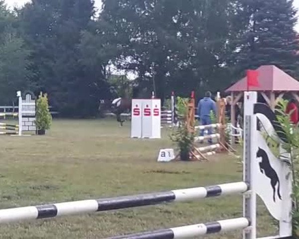 Video of Unique