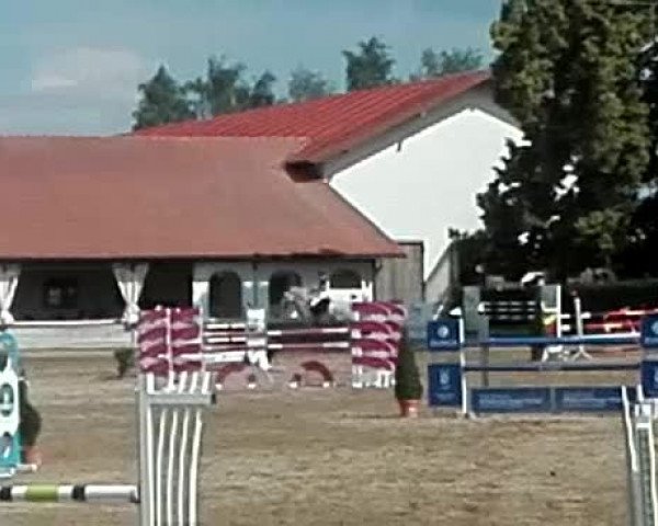 Reitturnier Großbaumgarten 2018