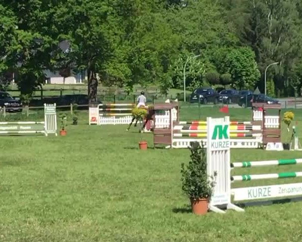 Reitturnier Spelle 2018