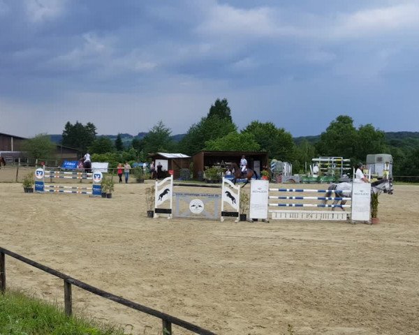 Reitturnier Bergisch Gladbach-Herkenrath 2018