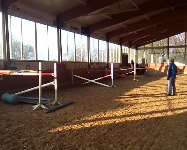 Video of Alina (Amy)