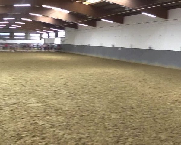 Video of fleur-de-la-cour-b