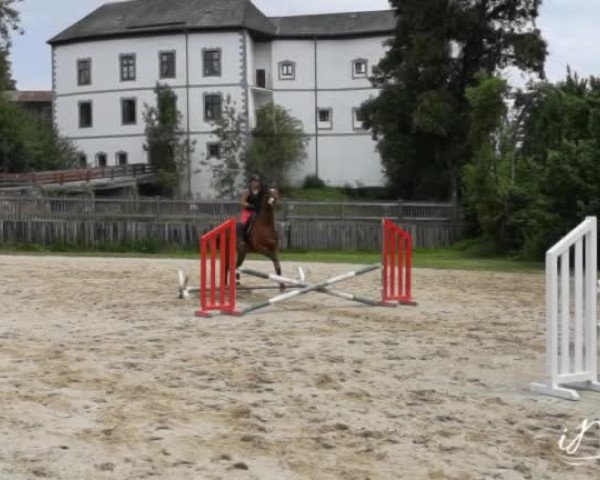 Video of Spot one BS