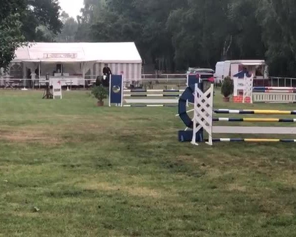 Video von Levandro Z