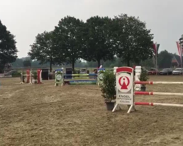 Video von Stakko's Dream