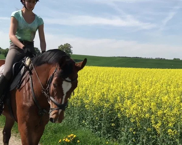Video of Pauline 361