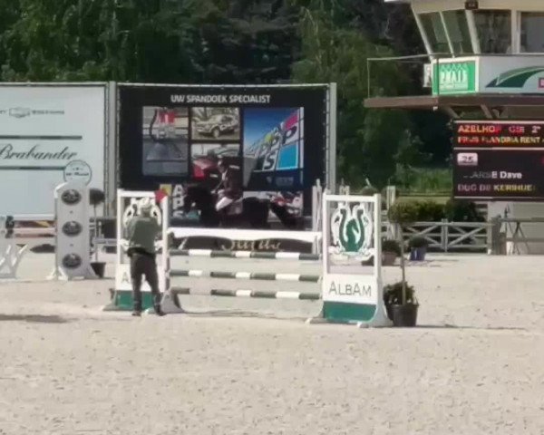 Video of Duc de Kerihuel