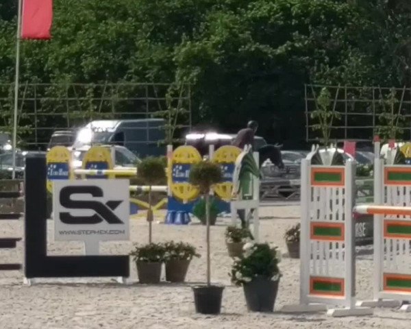 Video of Duc de Kerihuel