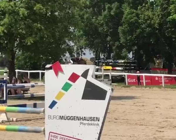 Video von Fan T