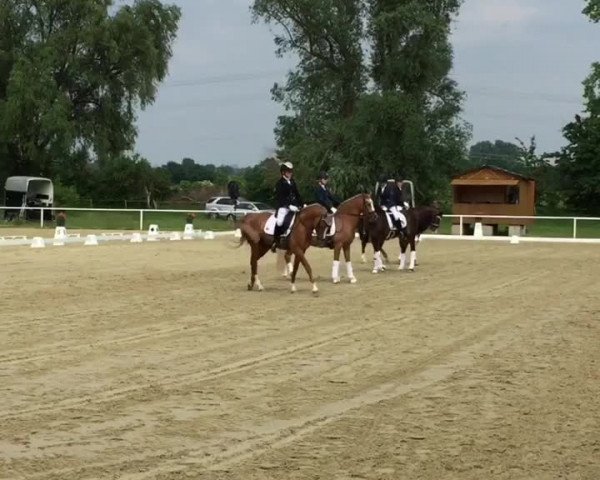Video of Duke of W