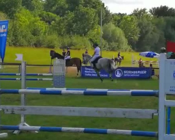 Reitturnier Landau a. d. Isar 2018