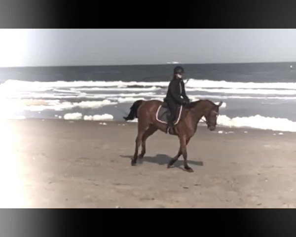 Video of Lucy in the sky M