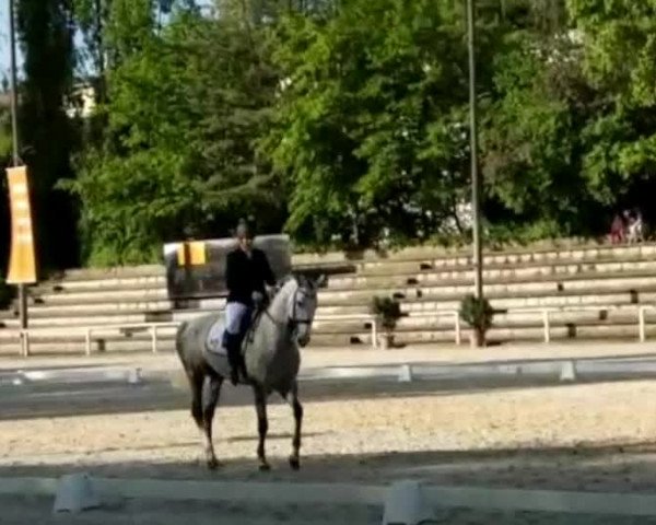 Reitturnier Waiblingen 2018