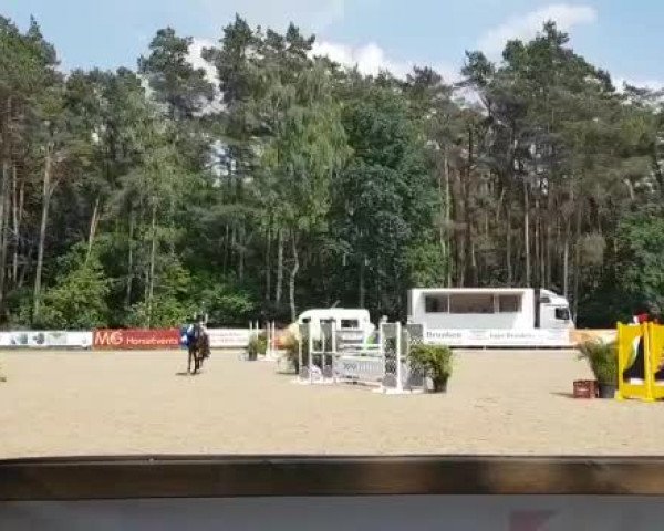 Video von Babalou Vk