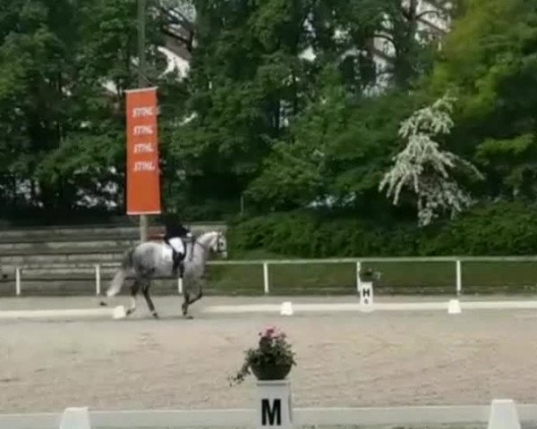 Reitturnier Waiblingen 2018