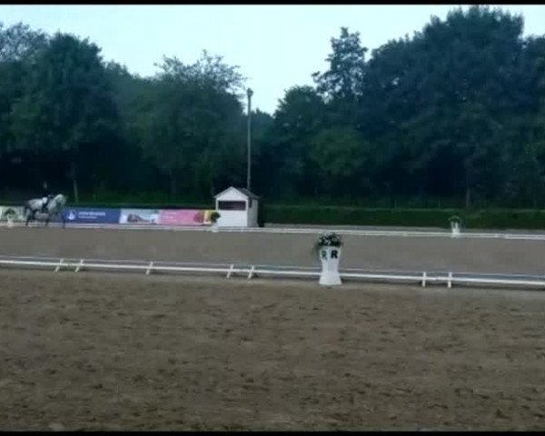 Reitturnier Böblingen 2018