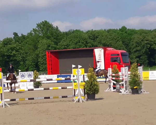 Reitturnier Kitzscher / Reitanlage Heuter 2018