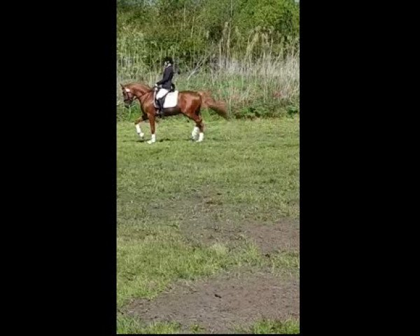 Video of CTS Delgado