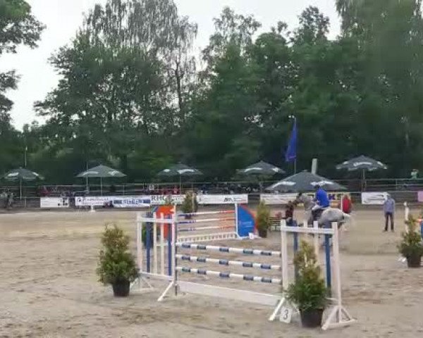 Reitturnier Lgl.-Oberhain, B95 2018