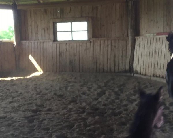 Video of Seven Miles Dacora