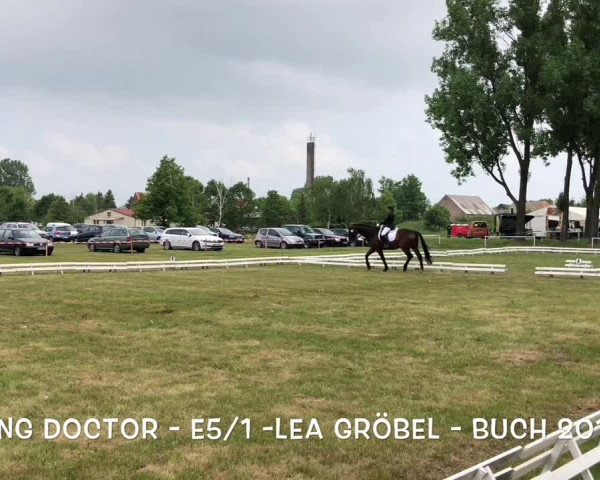 Reitturnier Buch 2018