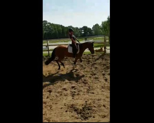 Video de Lady Bellini