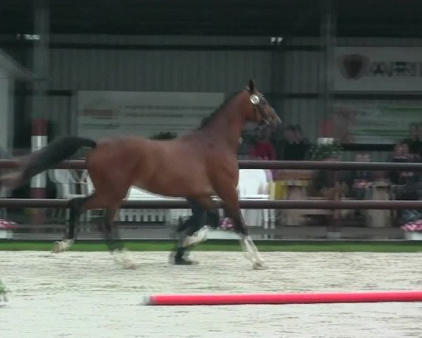 Video of Lysaya NOW
