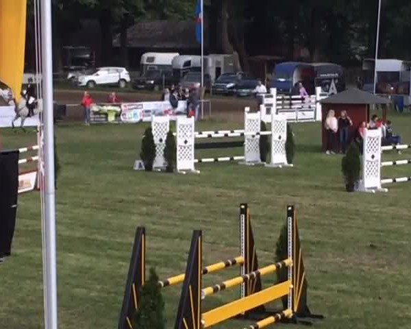 Video of Cortina