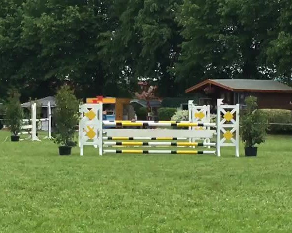 Video of Quaitine V