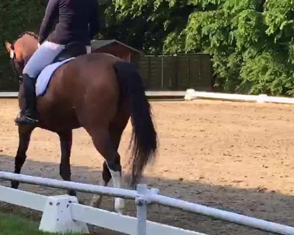 Video of Cleo