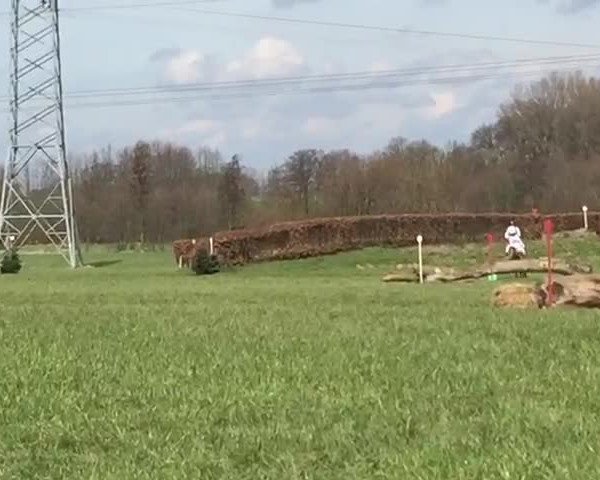Reitturnier Werne 2018