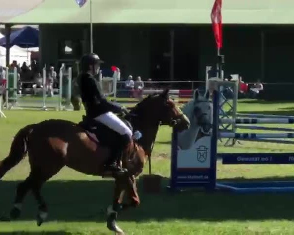 Video of Reve de Soleil