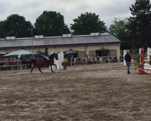 Video of Hello Pezi