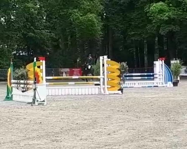 Video of Cafe's Quentin