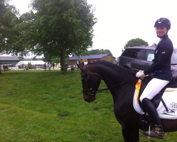 dressage horse Sinfonie (Hanoverian, 2010, from Soliman)