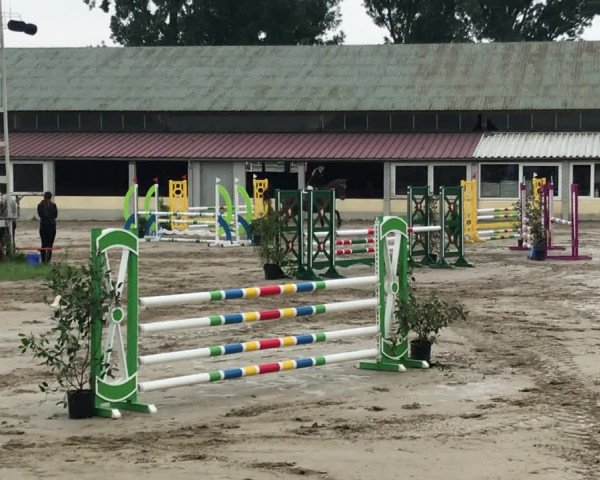 Reitturnier Billigheim 2018